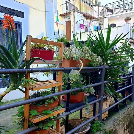2 Bed In The Historical Center Pizzo